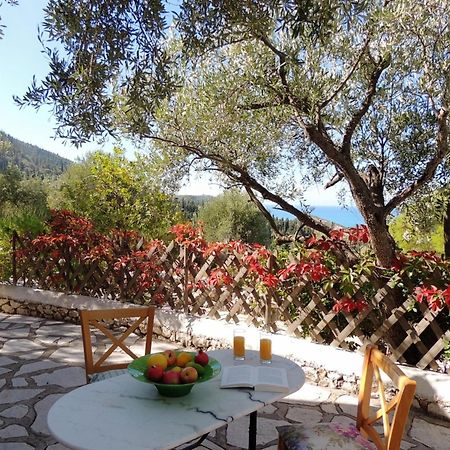 Agios Nikitas Villas Bagian luar foto